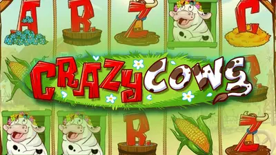 crazy cows